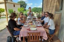 Wines, Cheeses & Bruschettas Tasting in Chianti (Tour at the Winery included)