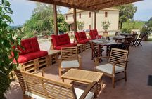 4 WINES TASTING in a Chianti Classico Farm (Visit/tour at the winery included)
