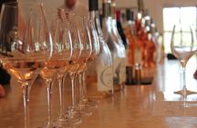 Full-day Wine Tour around Bandol & Cassis from Marseille