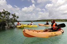 Bacalar Lagoon & Kayak Tour in Club Marmol from Playa del Carmen