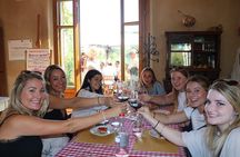 Tuscany Wine Tastings with Panoramic View - Florence to Chianti