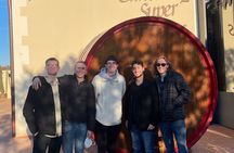 Tuscany Wine Tastings with Panoramic View - Florence to Chianti