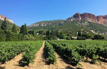 Marseille Shore Excursion - Full Day Wine Tour in Provence
