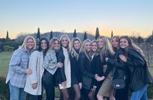 Tuscany Wine Tastings with Panoramic View - Florence to Chianti