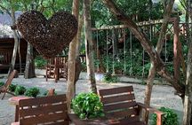 Nature Day! 3 Cenotes, 1 Lagoon from Cancun & Playa Del Carmen