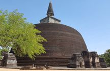 Highlights of Sri Lanka 8 Days Private Tour