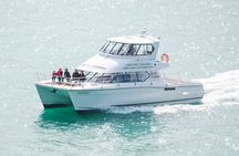 Akaroa Dolphins 〜 Harbour Nature Cruise
