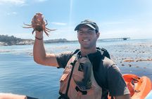 Gaviota Coast Kayak Tour Near Santa Barbara (3.5 Hours)