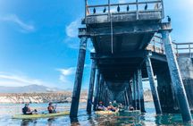 Gaviota Coast Kayak Tour Near Santa Barbara (3.5 Hours)