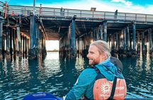Sunset Kayak Tour in Santa Barbara Harbor (2 Hours)