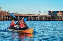 Sunset Kayak Tour in Santa Barbara Harbor (2 Hours)