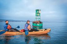 Sunset Kayak Tour in Santa Barbara Harbor (2 Hours)