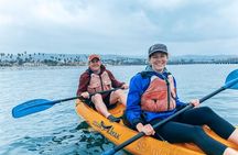 Wildlife Kayak Tour in Santa Barbara Harbor (2 Hours)