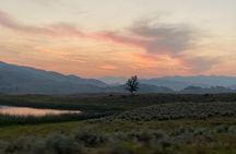Private Evening/Sunset Wildlife Encounter Tour