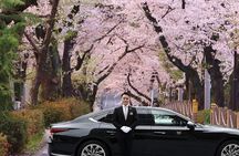 Cherry Blossom Private Tour 