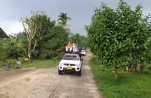 Koh Samui Jungle Safari Around The island Tour