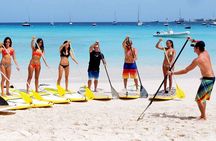 Stand Up Paddleboard Rental on St. Croix 