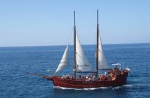 Los Cristianos, pirate ship : cetacean sighting and dip