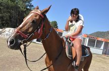 Fethiye Horse Riding Experience