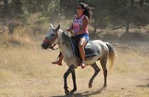 Kusadasi Horse Safari