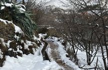 High Atlas Mountains Day Trip and Camel Trek