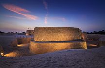 Full Day Sightseeing Tour in Bahrain