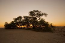 Ancient Garden of Eden