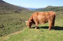 Explore the Isle of Skye in a full day tour