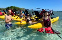 Water Bike Tour to La Parguera Cays