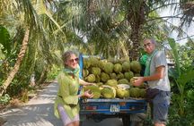 Two Days Off the Beaten Path the Mekong by Bike and Boat.