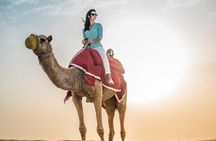 Half-Day Desert Safari Dubai With BBQ Dinner