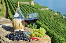 Peljesac Vineyards & Oysters - Private Day Trip from Dubrovnik-Mercedes Vehicle