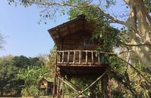 4 Days Caravan trip to Mukteshwar