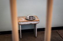 Robben Island Tour including Pick Up & Drop Off from Cape Town