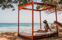 Tranquila Beach and Aquarium Day Tour 