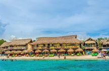 Tranquila Beach and Aquarium Day Tour 