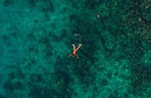 Tranquila Beach and Aquarium Day Tour 