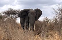 3-Day Adventure Camping Safari to Tarangire, Ngorongoro Crater, and Lake Manyara