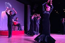 Flamenco Show at the Coliseo theater in San Miguel