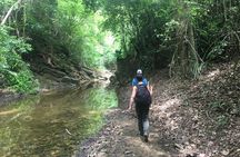 The Jaguar´s Footprint: Hike and Music Day Trip from Cartagena