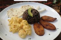 Arenal Volcano and Hot Springs Day Trip from Guanacaste