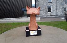 Private walking Tour of Kilkenny. English, French or German