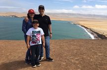 Ballestas Islands, Paracas Reserve & Skulls Museum Private Tour