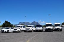 Hermanus Whales and Wine Full Day Private Tour 
