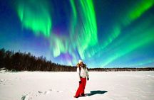 Northern Lights Photography Tour