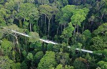 Panoramic Penang Hill & The Habitat Nature Discovery