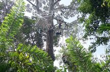 Panoramic Penang Hill & The Habitat Nature Discovery