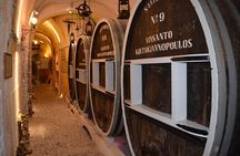 Cooking Class and Wine Tasting in Santorini