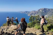Hiking the Path of the Gods: Scenic Amalfi Coast Trek 