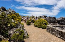 Table Mountain Tour 